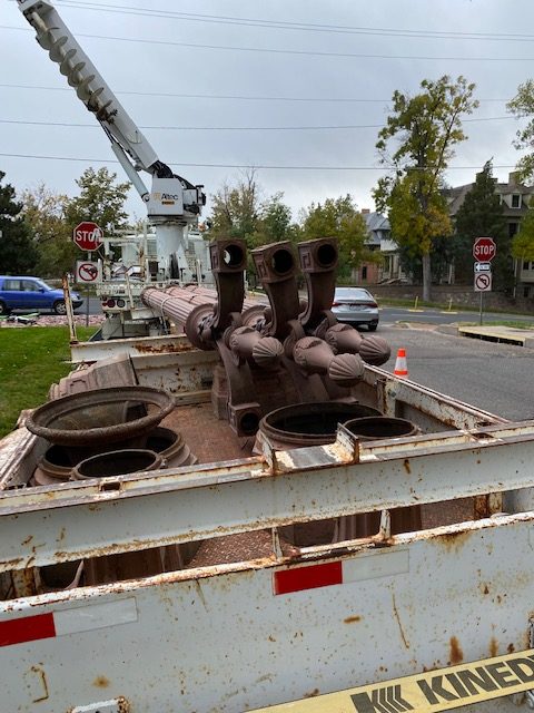 The residents looked out to see them being loaded in a truck